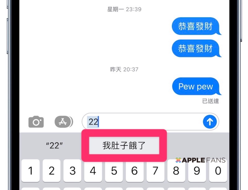 iPhone 必學 - 替代文字