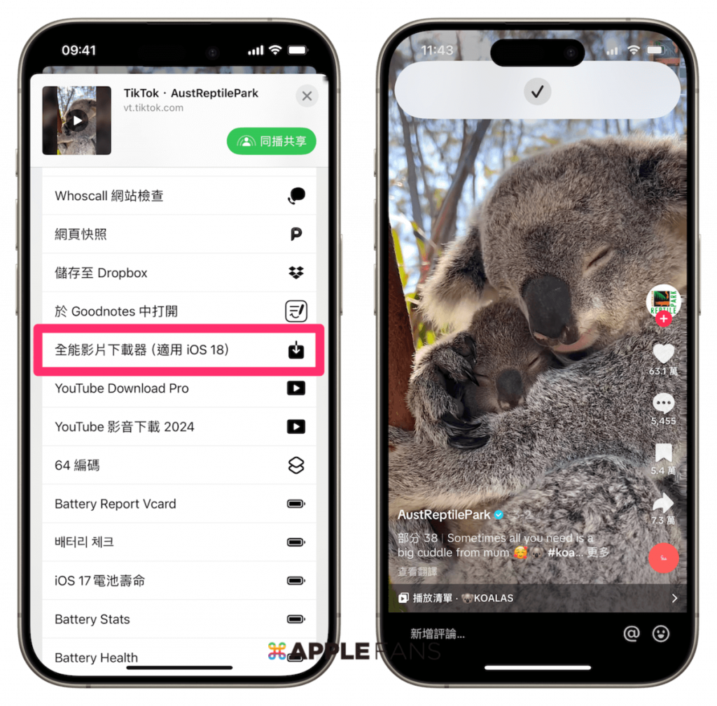 iOS18全能影片下載