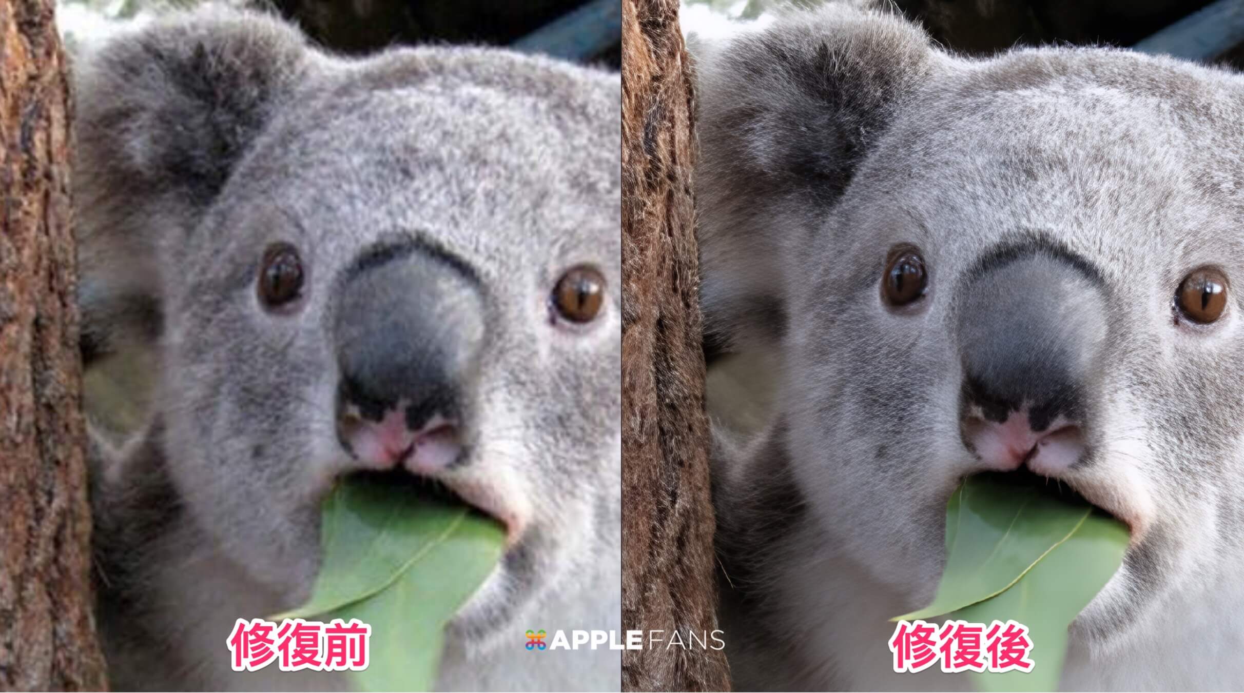AI 圖片修復
